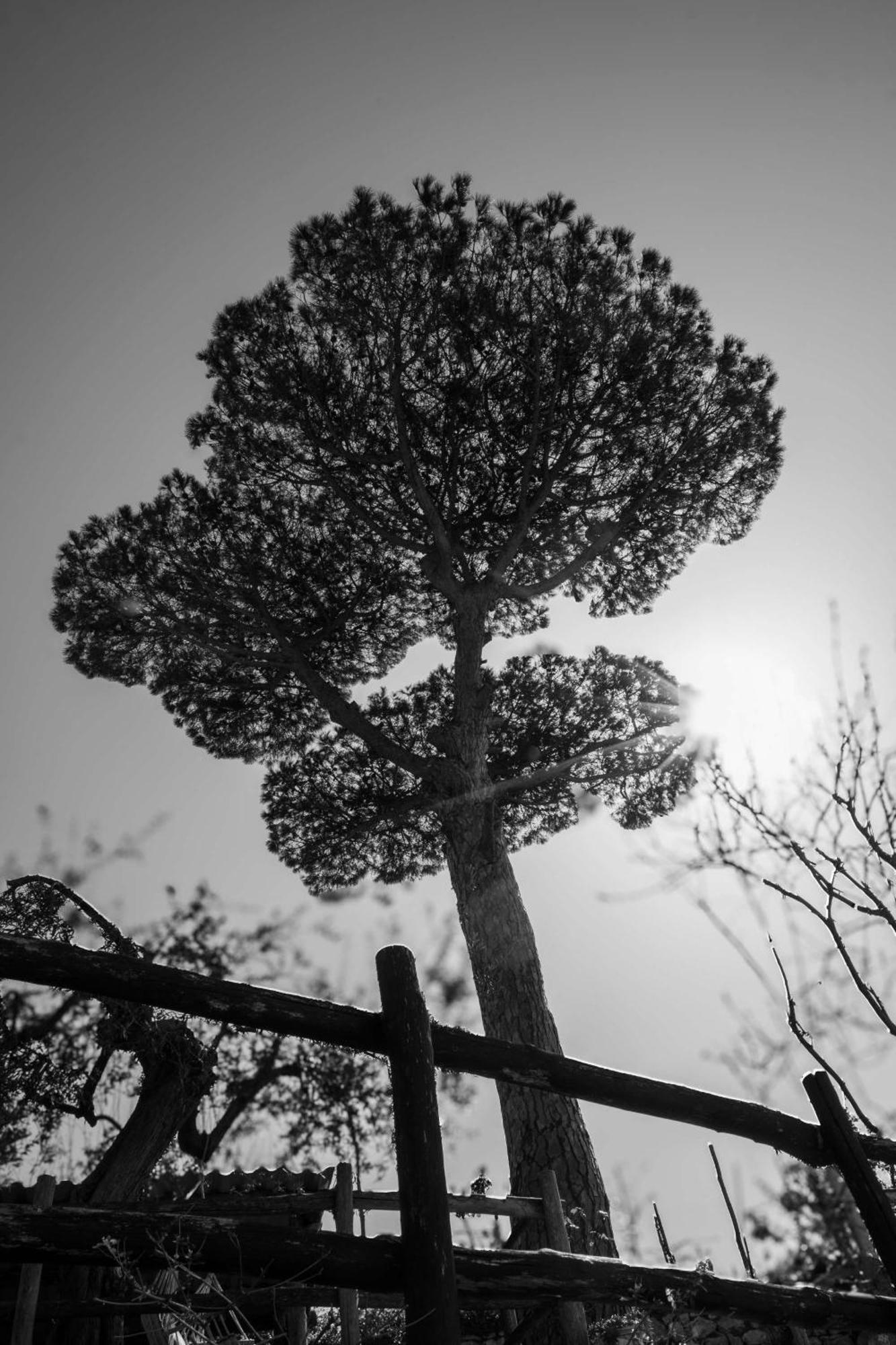 L'Antica Pigna Chateau Vico Equense Εξωτερικό φωτογραφία